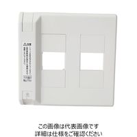 TERADA AEgbg2A 10 TD[1736[6 1(10)iij
