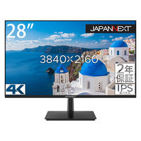 JAPANNEXT(ジャパンネクスト) 28インチ4Kモニター JN-280IPS4KR 1台