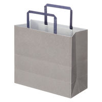 アスクルカタログリサイクル紙袋「Come bag/カムバッグ」平紐タイプ 220×200×100mm 1袋（50枚入） オリジナル