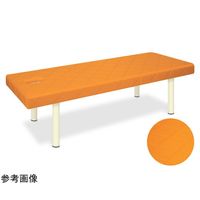 アズワン キルトDXベッド幅55×長さ180×高さ55cm スカイブルー 68-9682-96 1台（直送品）