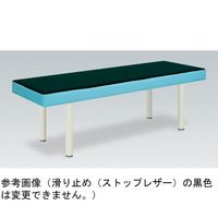 アズワン 有孔DXトップ幅55×長さ170×高さ50cm 白 68-9740-30 1台（直送品）