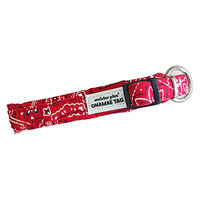 カワノ産業株式会社 マイスタープラス ONAMAEソフティカラー バンダナ S レッド 4960638011266 1個入（直送品）