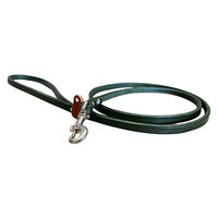 カワノ産業株式会社 マイスタープラス レザーリード #10 カーキ 4960638432023 1個入（直送品）