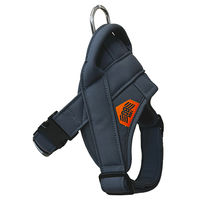 カワノ産業株式会社 マイスタープラス BIGGYヘッドインハーネスグレー 3L 4960638823449 1個(3L)入（直送品）