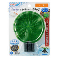 ジェックス メダカ水景 メダカのお守り草 ハス 4972547042132 1個入（直送品）