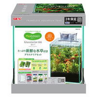 ジェックス MeGreen 新鮮な水草付き グラステリア200セット 20CM 4972547043894 1個入（直送品）