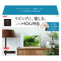 ジェックス アワーズ ホワイト 4972547045799 1個入（直送品）