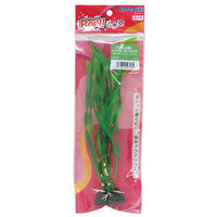 寿工芸 KOTOBUKI PON-シングルバリスネリア 4972814597181 1個入（直送品）