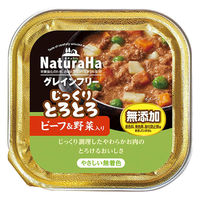 ナチュラハ グレインフリー じっくりとろとろビーフ&野菜入り 100g 4973321945687 1個(100g)入（直送品）