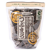 小川産業 小川の煮出し麦茶つぶまる mini 1個（10バッグ入）