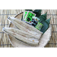 キングマカデミアンJAPAN 浜松浜名湖うなぎ白焼2人前 U910020 1個（直送品）