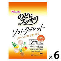 のど飴 キャンディ のどにスッキリ　ソフトタブレット　マイルドフルーツミックス 20g 1セット（1個×6）