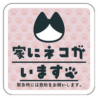 グリーンクロス マグネット 家にネコがいます ピンクB ハチワレ 6300076782 1枚（直送品）
