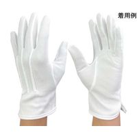 ウインセス ナイロン 礼装用手袋 L 1袋(12双入) * 1袋 69-4691-74（直送品）