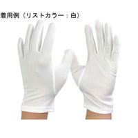 ウインセス マチ付き ウーリーナイロン手袋 3L 1袋(12双入) * 1袋 69-4693-89（直送品）