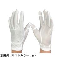 ウインセス 防塵手袋 タッチパネル対応 L 1袋(10双入) * 1袋 69-4693-29（直送品）