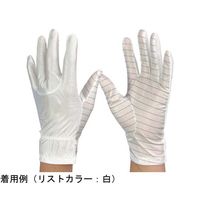 ウインセス 防塵手袋 制電対策タイプ L 1袋(10双入) * 1袋 69-4693-49（直送品）