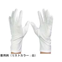 ウインセス ナイロン手袋 ロングタイプ L 1袋(12双入) * 1袋 69-4693-58（直送品）