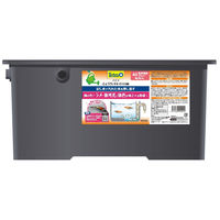 Tetra テトラ じょうろでキレイメダカ鉢 40 色光育成グレー 4571269555441 1個入（直送品）