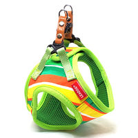 株式会社リードッグ LEADOG パステルボーダーソフトハーネス SS グリーン 4580298524816 1個入（直送品）