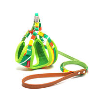 株式会社リードッグ LEADOG パステルボーダーフロントハーネスリード S グリーン 4580298526414 1個入（直送品）