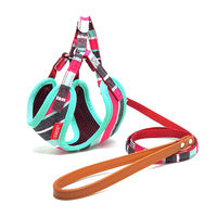 株式会社リードッグ LEADOG パステルボーダーフロントハーネスリード S ミント 4580298527459 1個入（直送品）