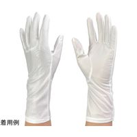 ウインセス 防塵手袋 ロングタイプ LL 1袋(10双入) * 1袋 69-4692-88（直送品）