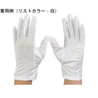 ウインセス 防塵手袋 制電タイプ M 1袋(10双入) * 1袋 69-4689-89（直送品）
