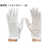 ウインセス 防塵手袋 マチ付 LL 1袋(10双入) * 1袋 69-4689-92（直送品）