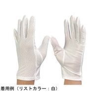 ウインセス 防塵手袋 L 1袋(12双入) * 1袋 69-4689-99（直送品）
