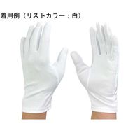 ウインセス マチ付き ナイロン手袋 左右有り S 1袋(12双入) * 1袋 69-4690-56（直送品）