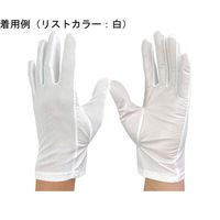ウインセス 防塵手袋 M 1袋(10双入) * 1袋 69-4690-77（直送品）