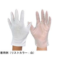 ウインセス ブツ検 表面検査用手袋(右手)M 1袋(10枚入) T4213-M-RI-10M 1袋(10枚) 69-4690-81（直送品）