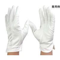 ウインセス マイクロファイバー手袋 L 1袋(10双入) * 1袋 69-4690-98（直送品）
