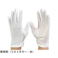 ウインセス 防塵手袋 LL 1袋(12双入) * 1袋 69-4691-03（直送品）