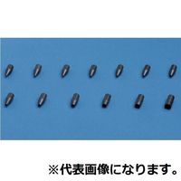 ミラック光学 標準先端アタッチメント/φ2.0 (PKー2.0) 【PKー2.0】 PK-2.0 1セット(10セット:1セット×10個)（直送品）