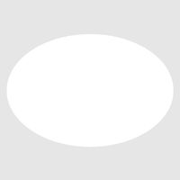 HEIKO タックラベル はがせるラベル  No.117 007062723 1袋（144片入り）