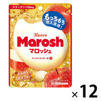 グミ 食べきりサイズ カンロ マロッシュアップルサイダー味 46g 1セット（1個×12）