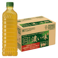 （機能性表示食品）サントリー 伊右衛門濃い味 ラベルレス 600ml 1セット（48本）