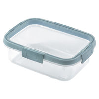 カーバー（CURVER）スマートフレッシュ 保存容器 長方形 1.0L 電子レンジ対応 1個 藤栄