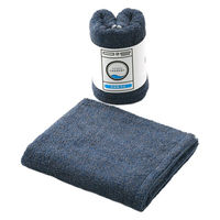 タオルランドリー ふっくらボリューム ミニバスタオル ブルー 23-3033250-B 1枚 日本製 乾燥機使用可 タオル美術館