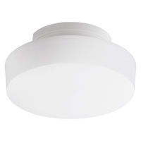 アイリスオーヤマ 小型シーリングライト 高効率 2000lm 昼光色 SCL20D-H 1台