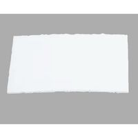 エスコ プレフィルター(3Mアドフロー用/5枚) EA800PX-102 1箱（直送品）