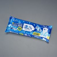 エスコ 600x400mm 超大判汗拭きシート(20枚入) EA922HC-26 1袋（直送品）