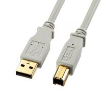 エスコ 0.3m USBケーブル(AーB/2.0対応/金メッキ/グレー) EA764AJ-71A 1個（直送品）