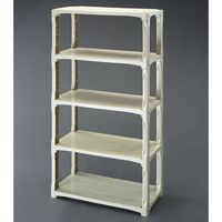 エスコ 900x450x1800mm/5段 ラック棚(超強化PP製) EA976AL-55 1台（直送品）