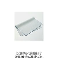 杉田エース プレイスマット ライトブルー&ブルー 955509 1セット(2枚)（直送品）