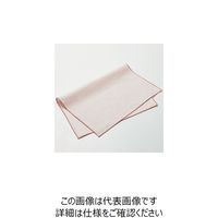 杉田エース プレイスマット ライトピンク&ピンク 955508 1セット(2枚)（直送品）
