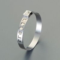 エスコ 27ー35mm ホースクランプ(イヤー型/10個) EA463AW-135 1セット(100個:10個×10袋)（直送品）