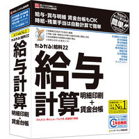 BSL かるがるできる給料22 給与計算・明細印刷+賃金台帳  1個（直送品）